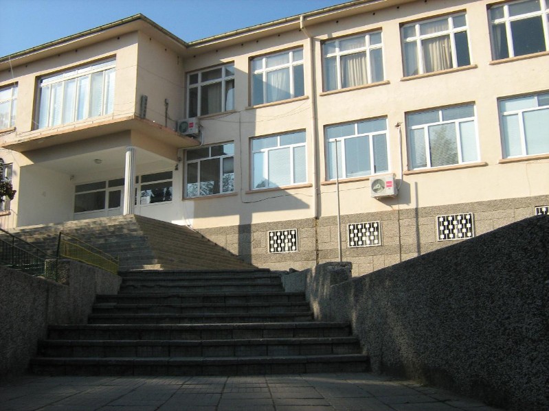 Picture 305.jpg